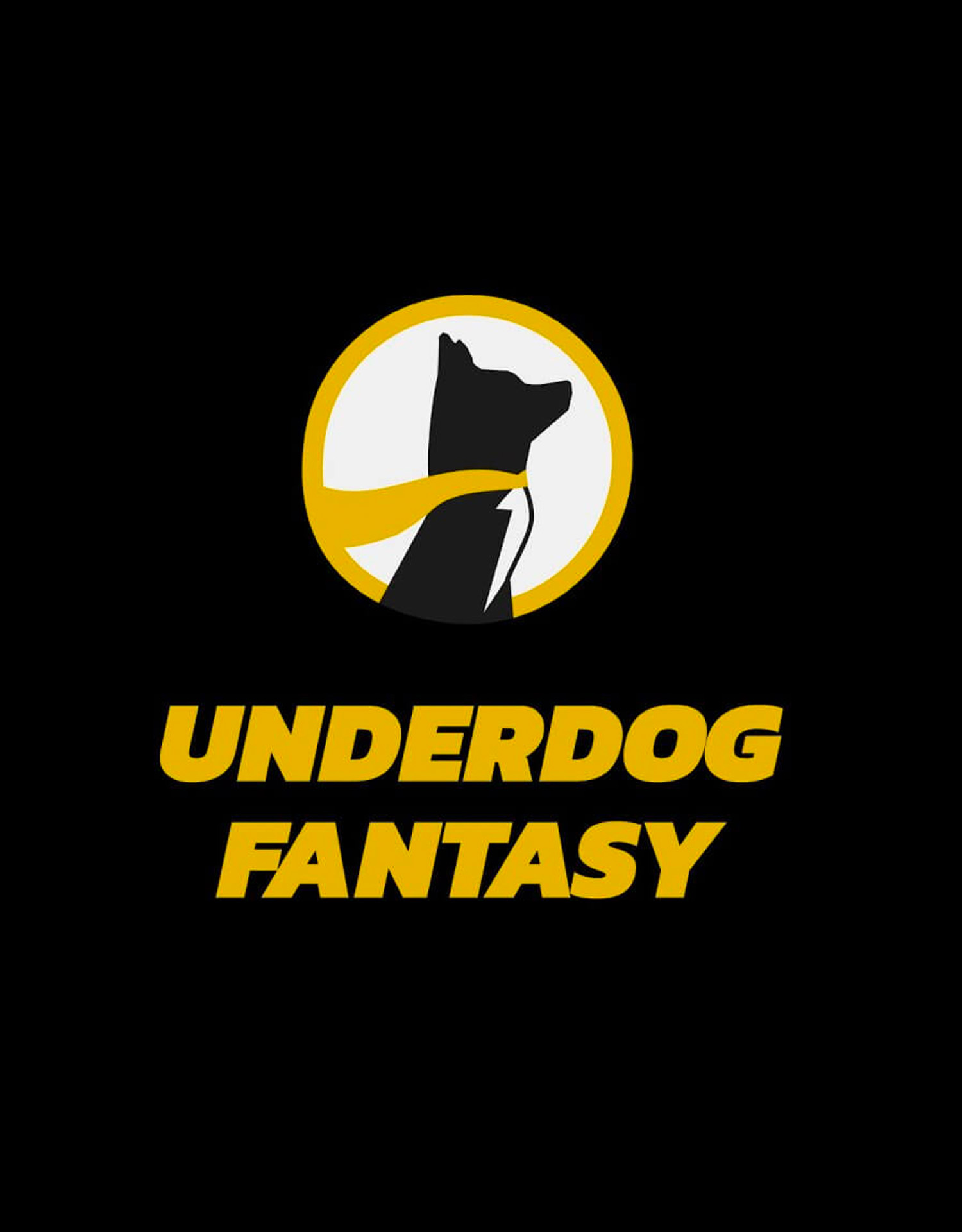 FanFluence Underdog Partnership 2